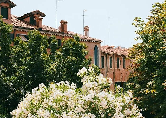 Cà Venier